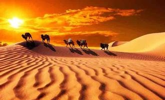 �Ї�����վ�|(zh��)���cЧ�憖�}���ƽ�֮�����½����h��