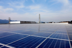 �w���t���Ј�(ch��ng)͸����������Щ�µĿ�����