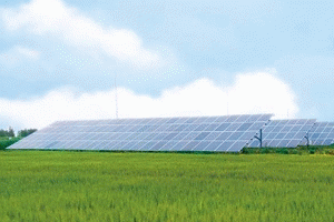 �|�����������ЧҎ(gu��)�����r(n��ng)�I(y��)+������á����^����