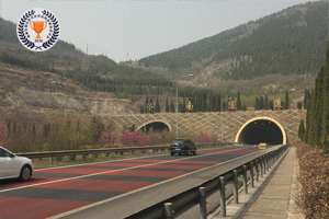 �R����ͨ0.127MW�ֲ�ʽ����l(f��)��(xi��ng)Ŀ