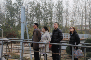 ��I(y��)���L (1)