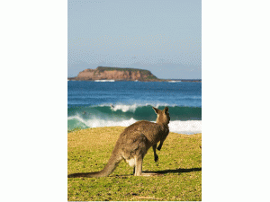 �Ĵ�������Դ�D(zhu��n)�͕�(hu��)��Ӱ푌�(du��)�A�Q(m��o)����