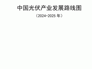 �Ї�����a(ch��n)�I(y��)�l(f��)չ·���D��2024-2025�꣩�l(f��)��