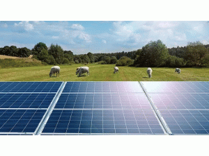 �½����̓�(ch��)���(xi��ng)Ŀ���m(x��)�����¡�