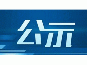 �Ĵ���2025��ȔM�{��늾W(w��ng)��(c��)���̓����Ŀ��ι�ʾ