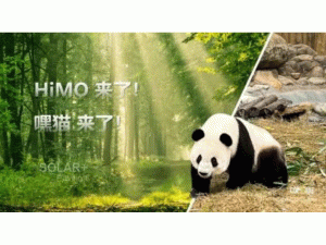 ¡�������K���J(r��n)�B(y��ng)һֻ�؎X����؈ �\(y��n)�ù���Ƽ����o(h��)���������