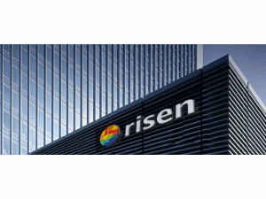 �����_�T�t���|�������ث@��험s�u(y��) ���������v�w