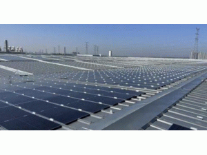 ������Դ�l(f��)���׿����ÿ�������Դ���a(ch��n)��Neo Green�M��