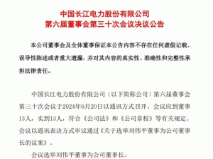 ����ƽ���Ї�(gu��)�L(zh��ng)������ɷ����޹�˾�����L(zh��ng)