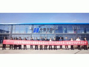 ���ĿƼ�1.25GW DeepBlue 4.0 Proȫ�������A�܎첼�RɳĮ�ϲ�����Դ����