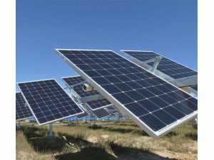 �C(j��)������������M����ϴЧ��