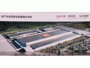 16.2MW��С����܇���S�b��¡��ɭ�صĹ���վ