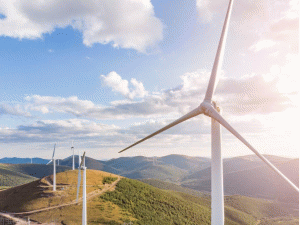 ȫ������L(f��ng)�ԇ�ƽ�_���}��Ͷ�\