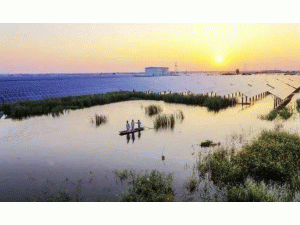 ������Դ���о��J��Ư��̫���늳ذ�ɞ�1�|����ͥ���