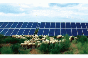 �����°l(f��)��ʮ���塱���������ؚ�ĿӋ��