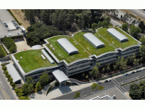 ��(n��i)�ɹţ�2025���Ǽ��Gɫ�����b��ʽ����ռ�½���������30%