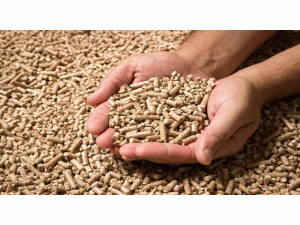 �@�N��׌�W�ޡ����¡����_˹�๩��Ȼ���ȼ�����ܳ��^�L(f��ng)늺�̫��ܰl(f��)늣�