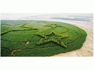 �G�C�������_����Щ���}�]��Q��