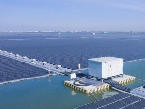 ���Ϲ��ֱ��ɱ������y�}