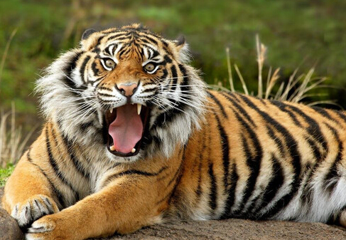 ������͵Ĕr·�������ػ�Ͷ�Y����