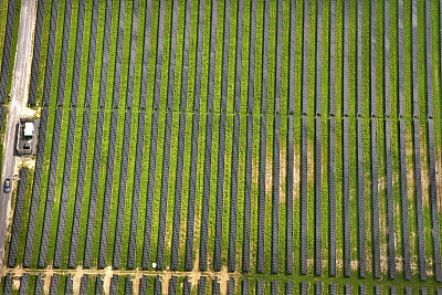 2017����Դ�O(ji��n)��������_���������Ӱ푺Éą���