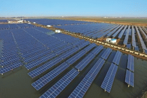 �����⡱��Ƥ���߽o�˵ط�����