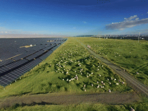 �����Ͷ�ؽM6��ĸ�l(f��)չ�o(j��)��