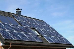 �r(n��ng)��ֲ�ʽ������������(y��n)