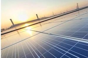  �����531�����գ���������