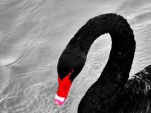 ����r(ji��)���(zh��n)������(n��i)ѭ�h(hu��n)���r(sh��)���ĸ����A(y��)����