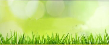 ���ӯϲ׷���