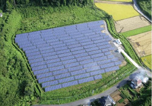 �|���Cȯ����(zh��n)��һֻ����l(f��)늻�������