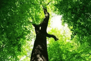 ���G��Ԫ�ꡱ һ���D�����G�����Ӱ���Դ�ИI(y��)